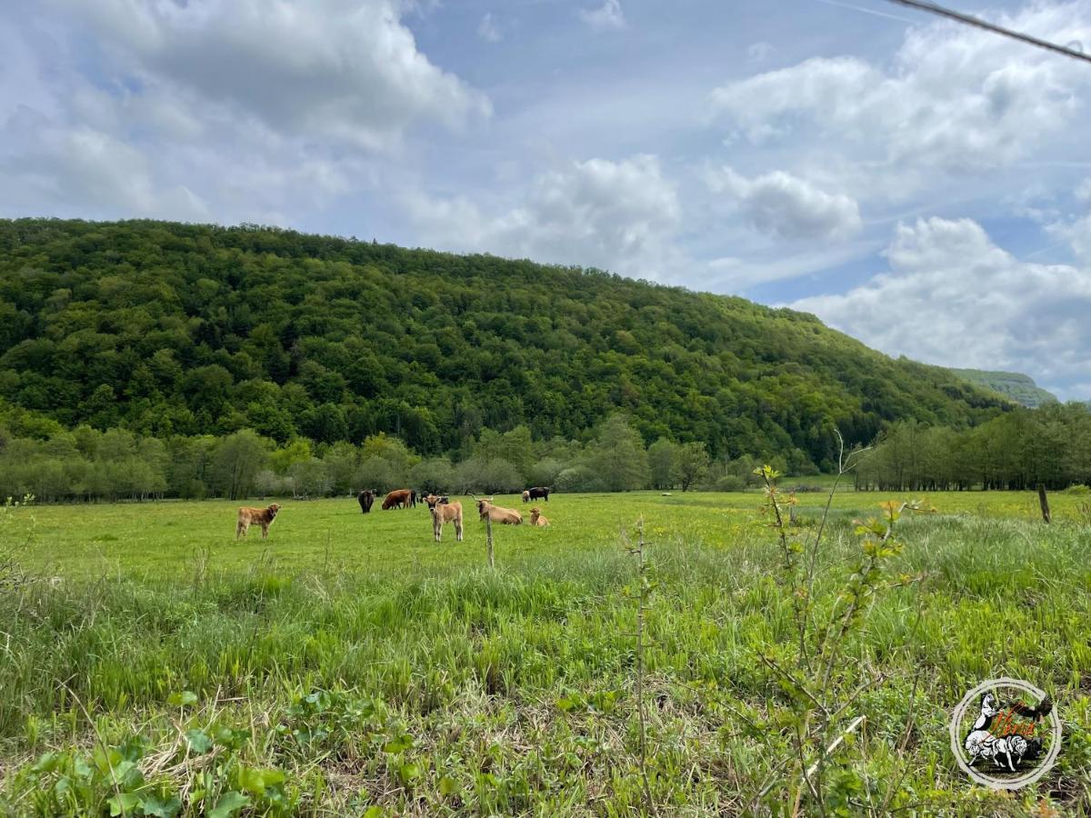 Villa Parc animalier du Hérisson à Doucier Extérieur photo